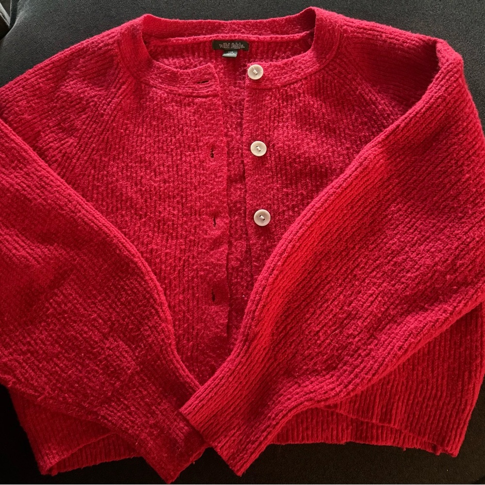Wild Fable Red Button-Up Cardigan